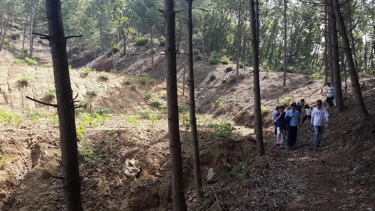 AD_4nXeE-hKRhv2XTpc_hiYYWcThGDGRv7kvm5oUfq4ZZ2Ve-OJlKcBAAhen9-HW9Hz1VKLU_cYRpukvtVhQiB-L_jXqecivpfxCvq9FTB_LEl-lG6IAC7vUMtr7qjrFXQmIoV8V9EVKmaEJ8msI5GvbpGhtMHBf?key=uxbwAM01FAiTrgEEUi71rg