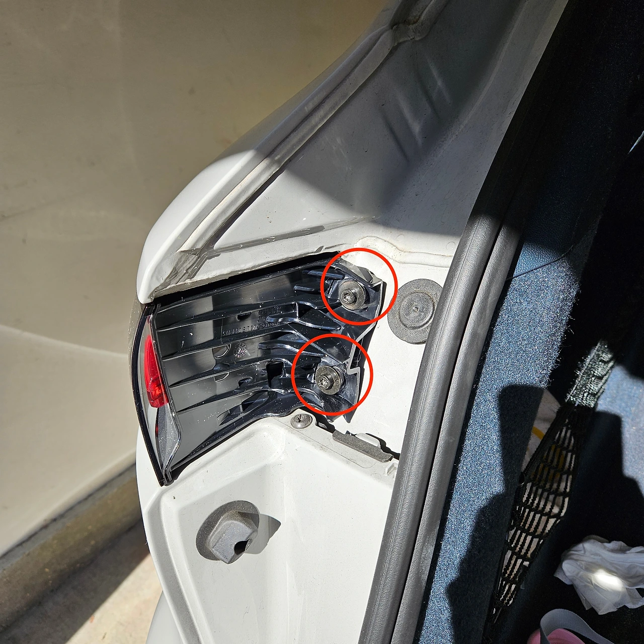 20241112_123627 copy.jpeg