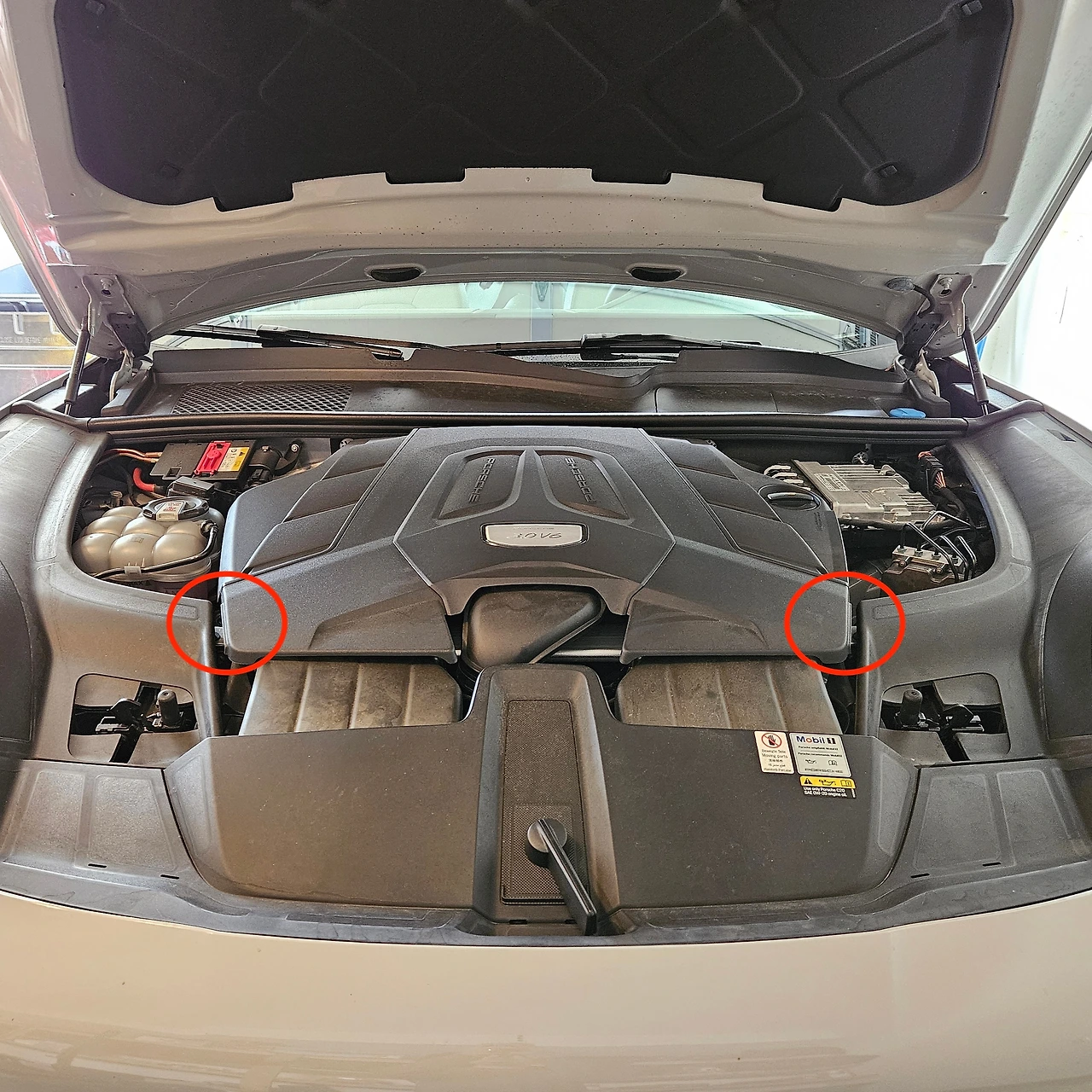 20241017_125039 copy.jpeg