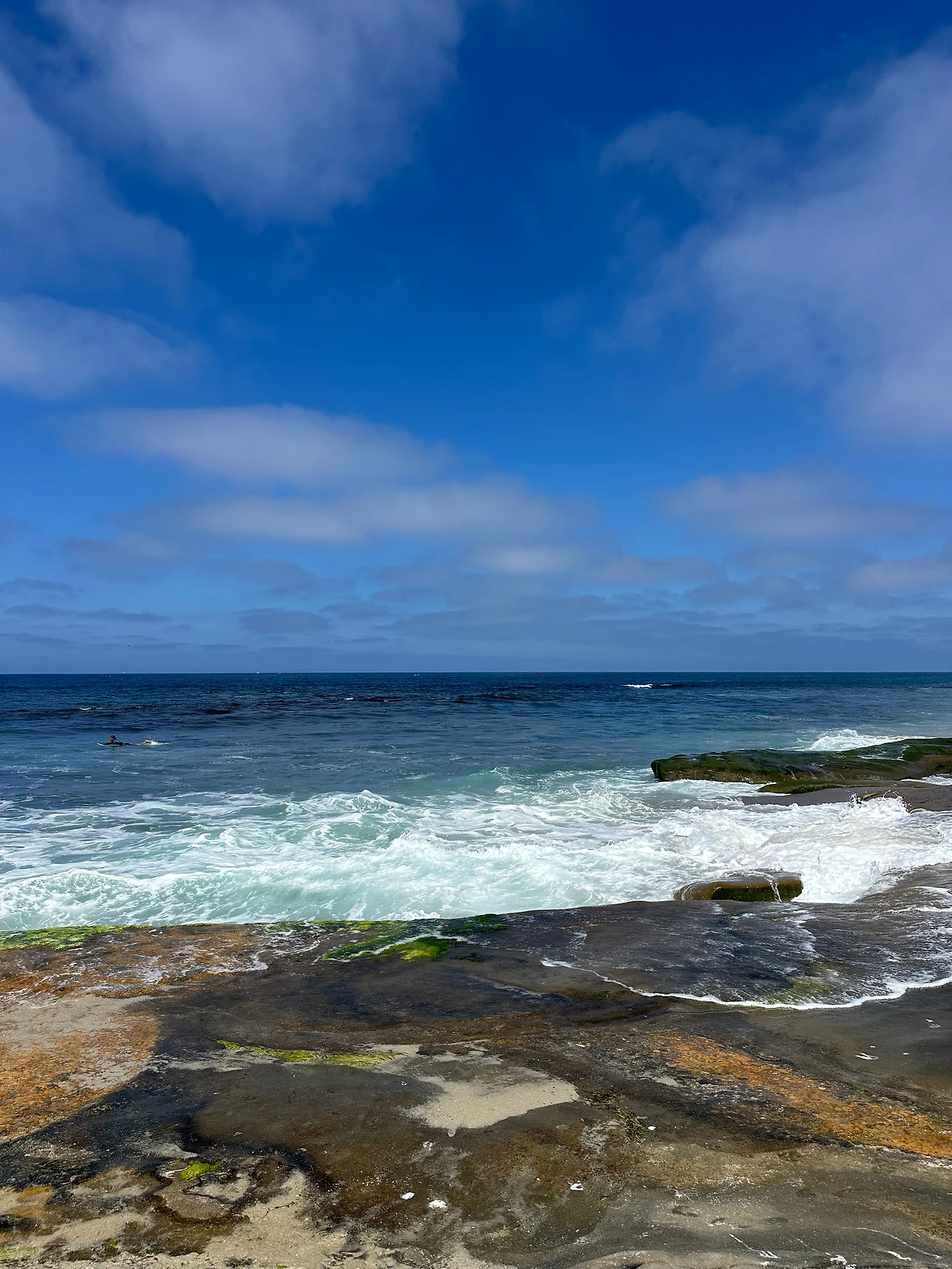 KakaoTalk_Photo_2025-09-02-14-58-12 002.jpeg