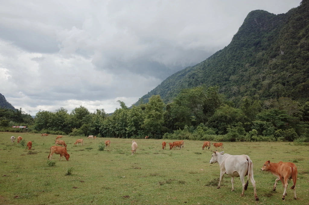 2773623E556C751916449F