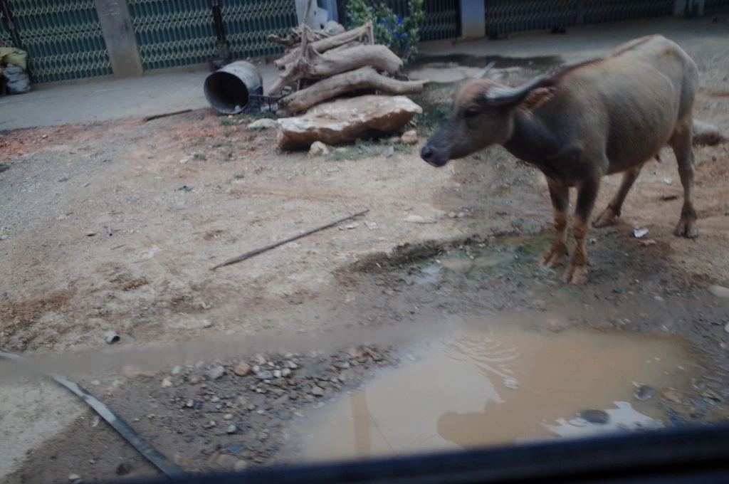 2141263E5571B1072A88EC