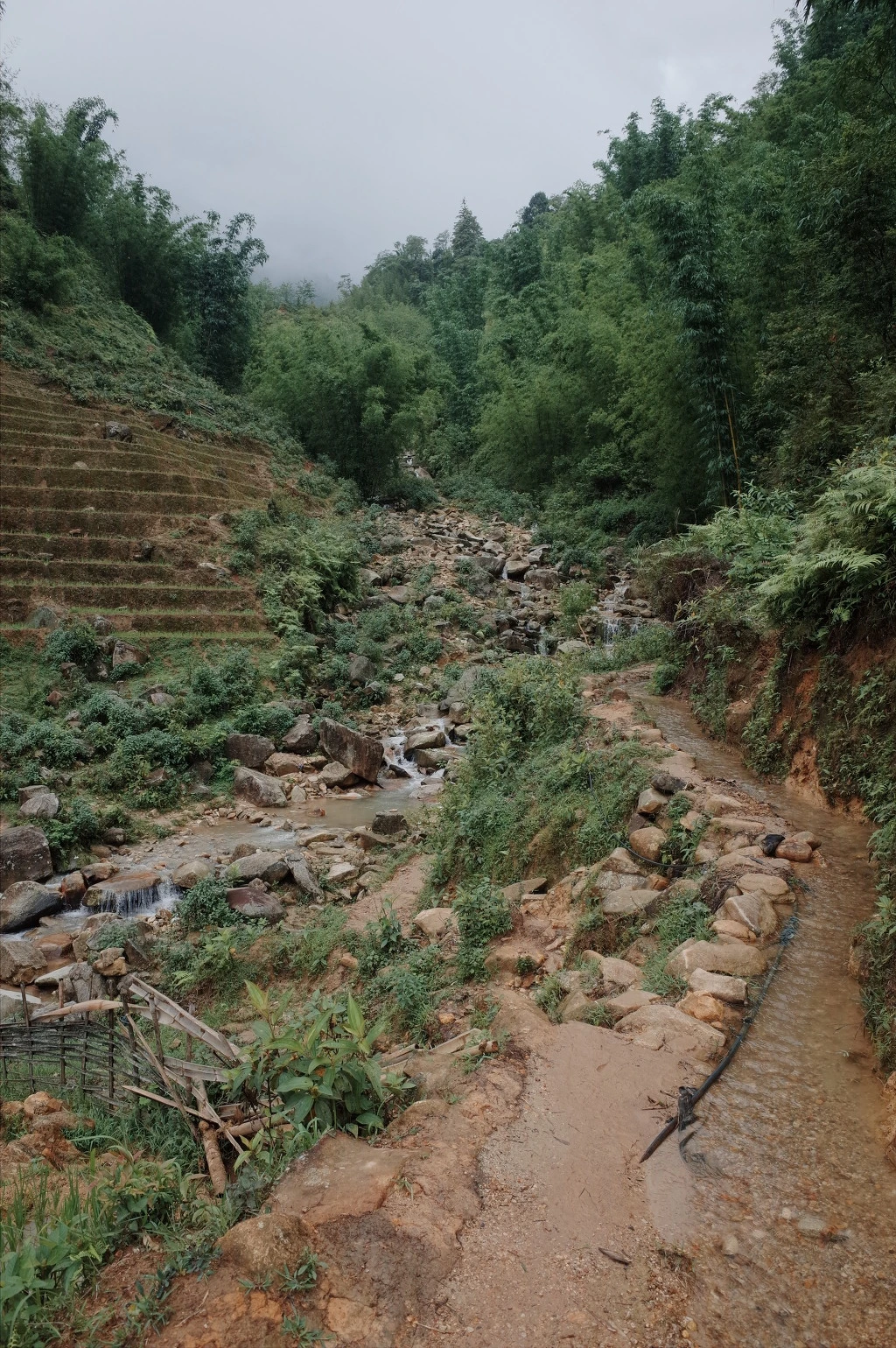 246A5537557465CA243594