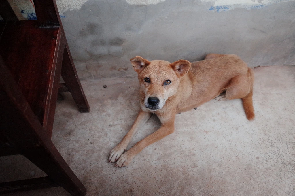 226CAA45556C73B20A936C