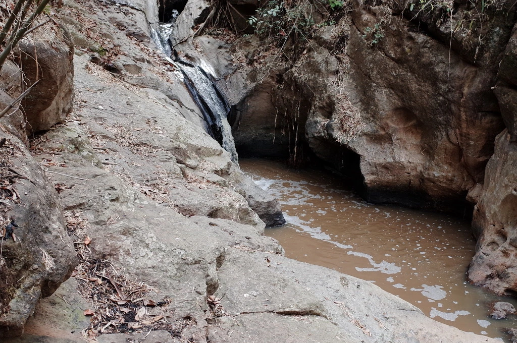 2350DF3E553A5D77132463