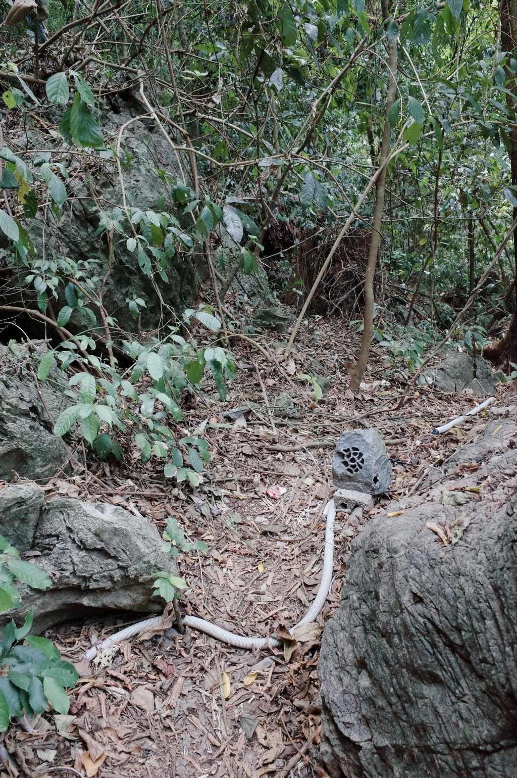 25735A40557ECD3F175F58