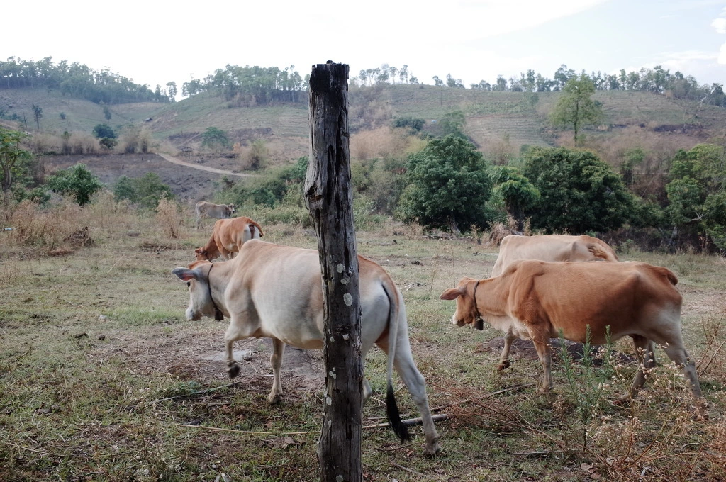 21324546553C6083244CE0