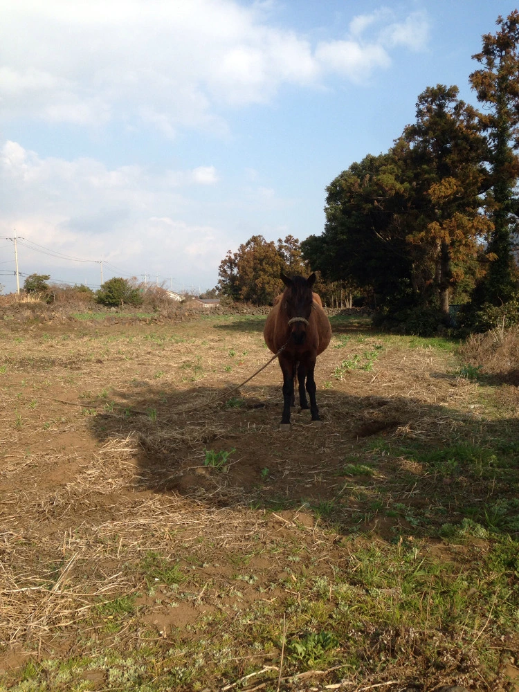 27441F50530C34E02D57C2