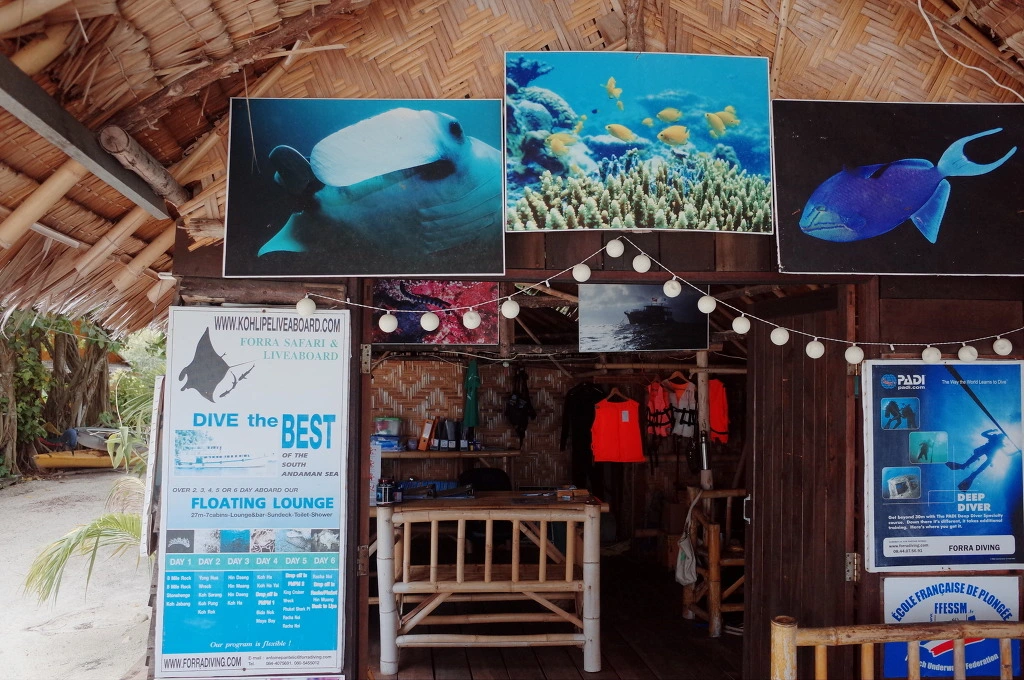 27724844555DFB60195E84