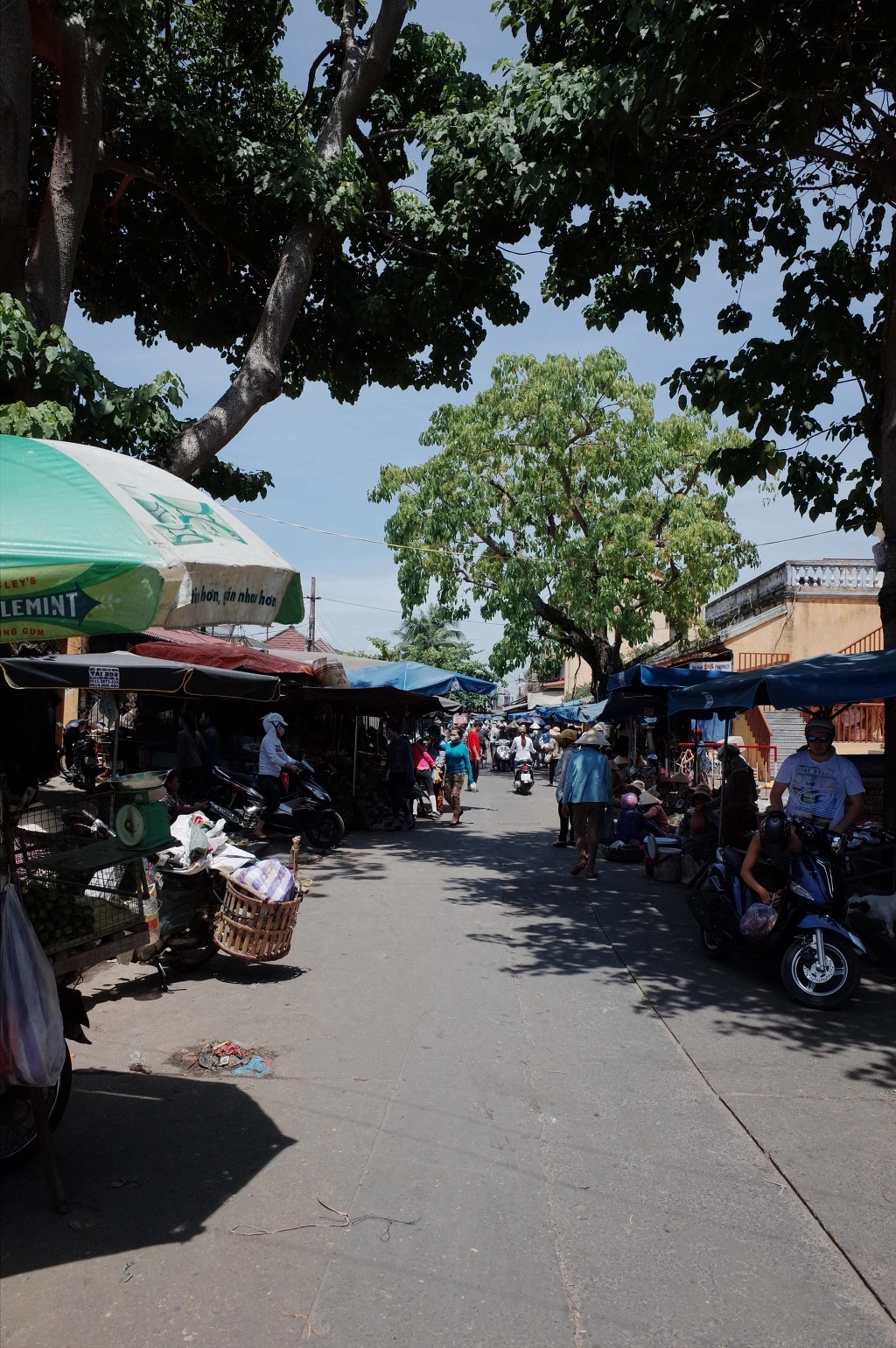 253F9D3B5580DB3203F5CB