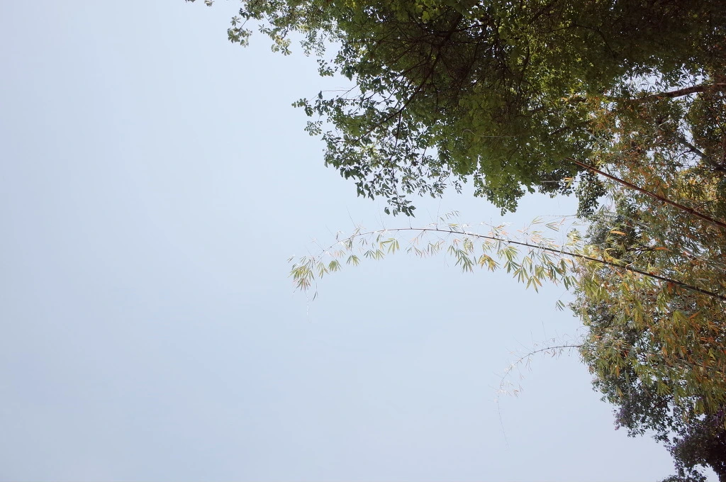 221B3C38556BC6361FF606