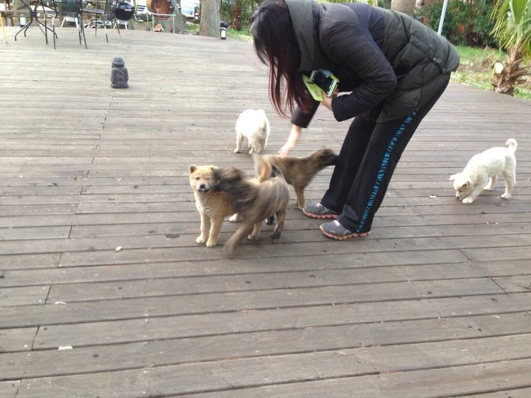 255E3F445524F8CD1156BB