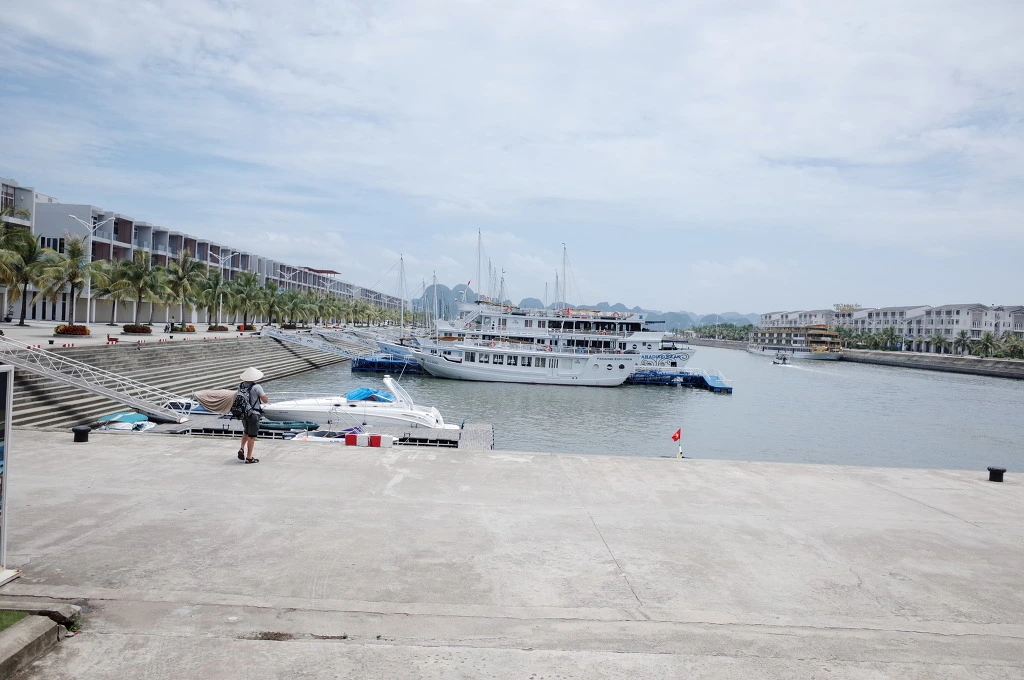 27191738557A35FE2B0385