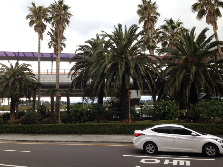 253046445524F6041DEBEE