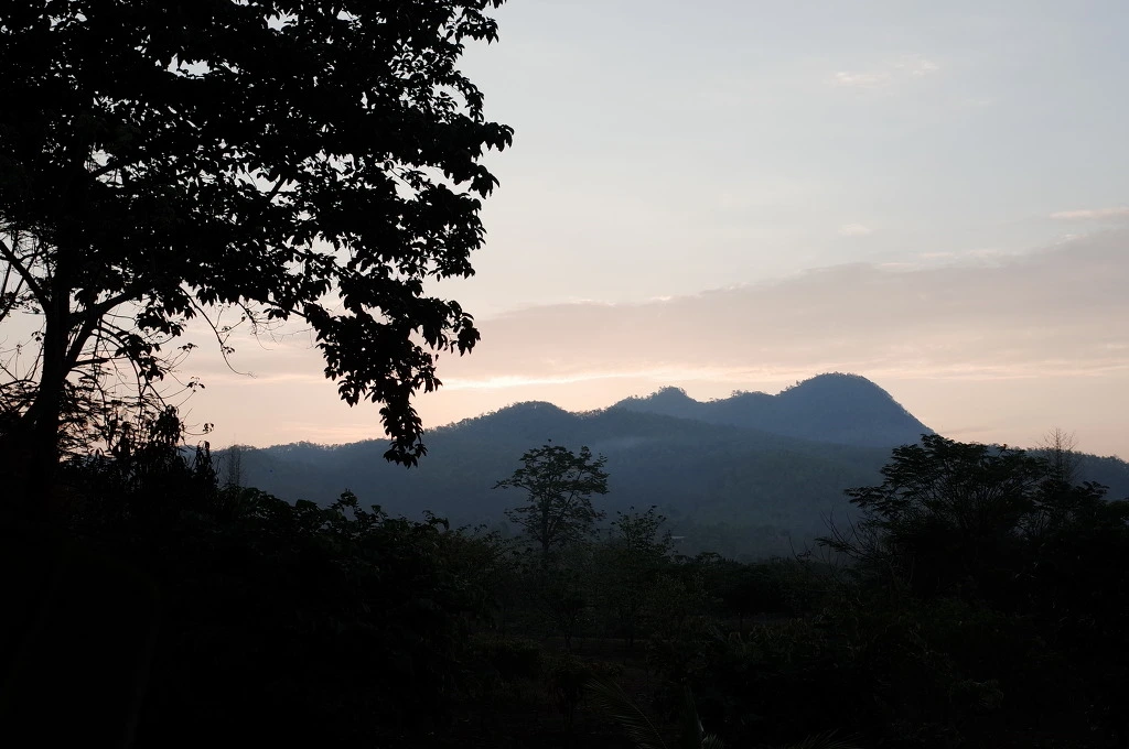 23351E33553C5CC7235A06