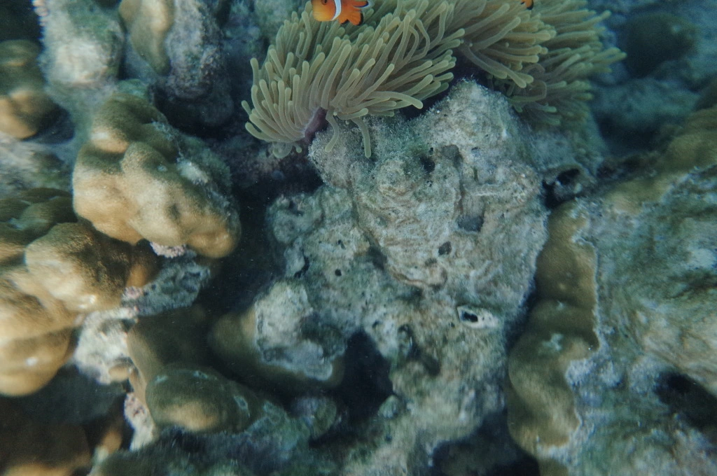 27498837555EB427344153