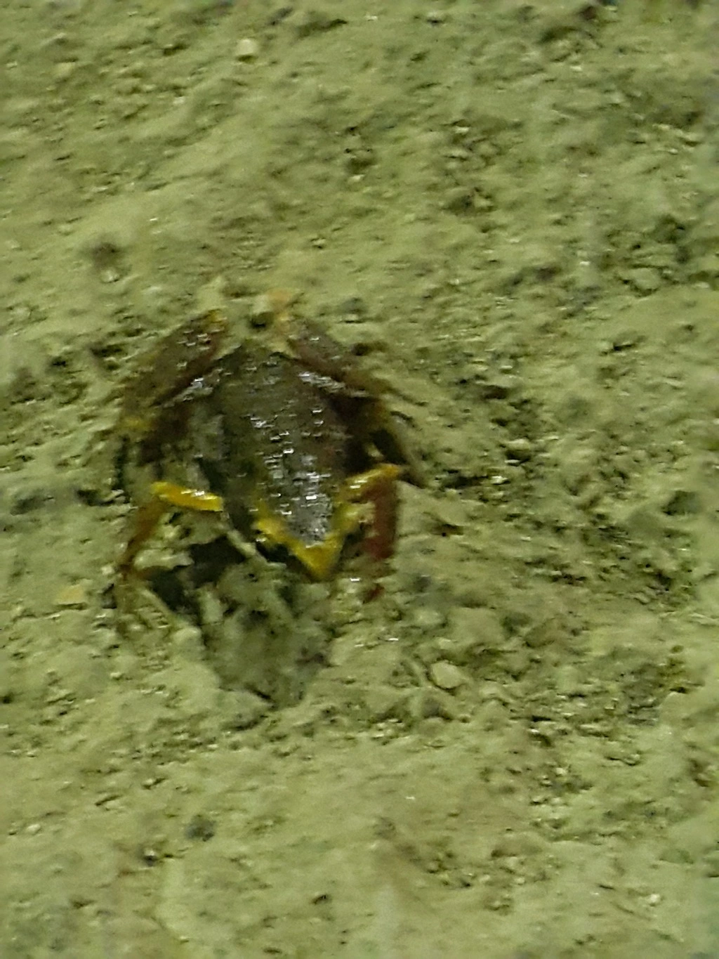 25438142553C62DB1A1E4A