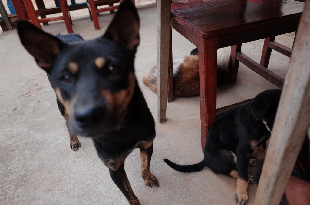 2160F63B556C73C32427E3