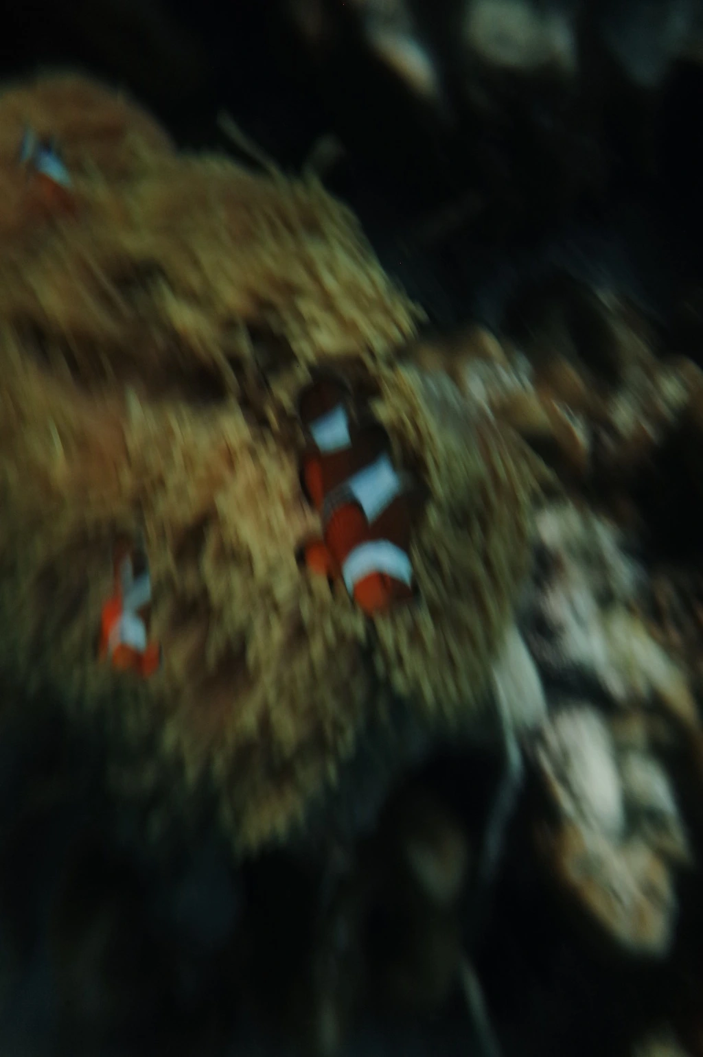 277E7936555EB44B3CD1C9