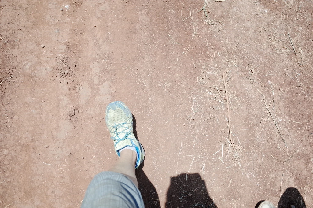 271C6839556BC5CF193908