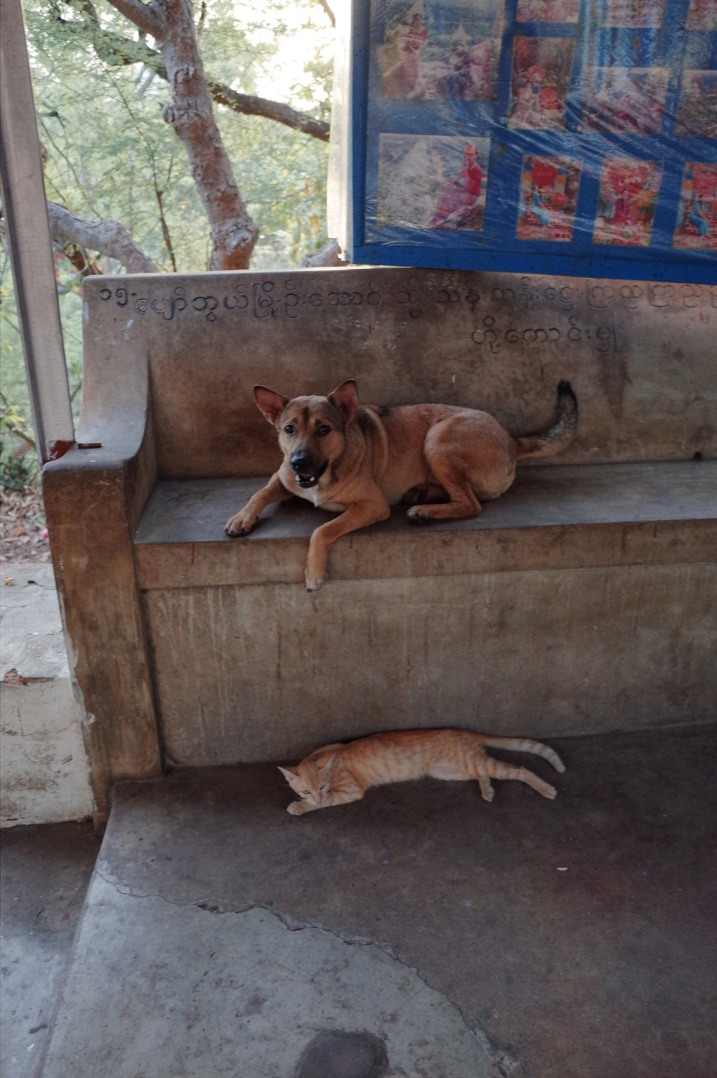 2156C83E555DF1B70BE5CF