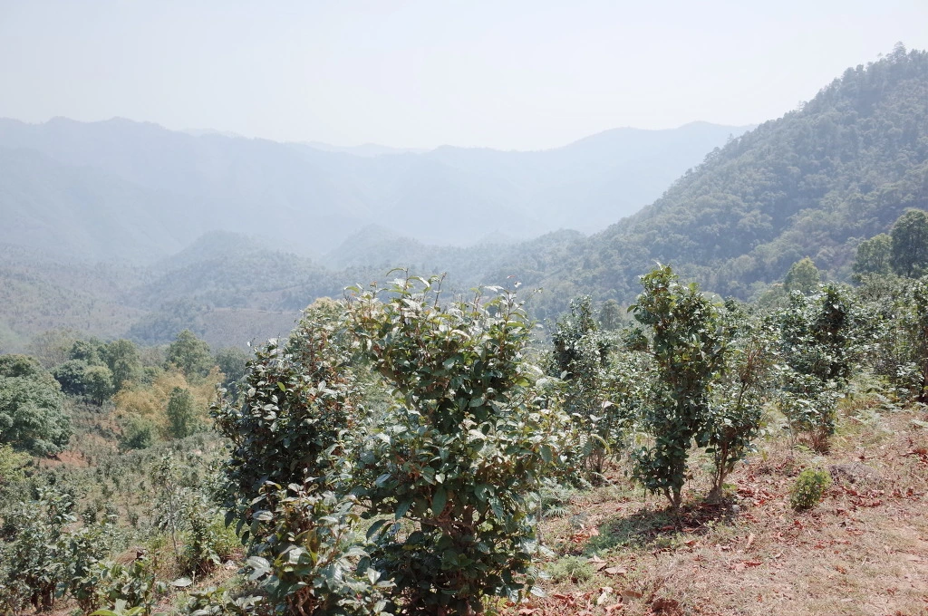 2619463D556BD3AA15E2F5