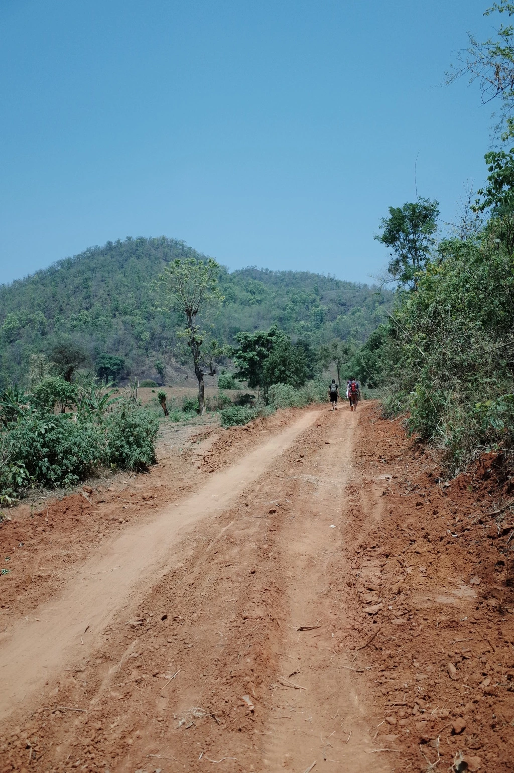 260B1840556BC59635BB21