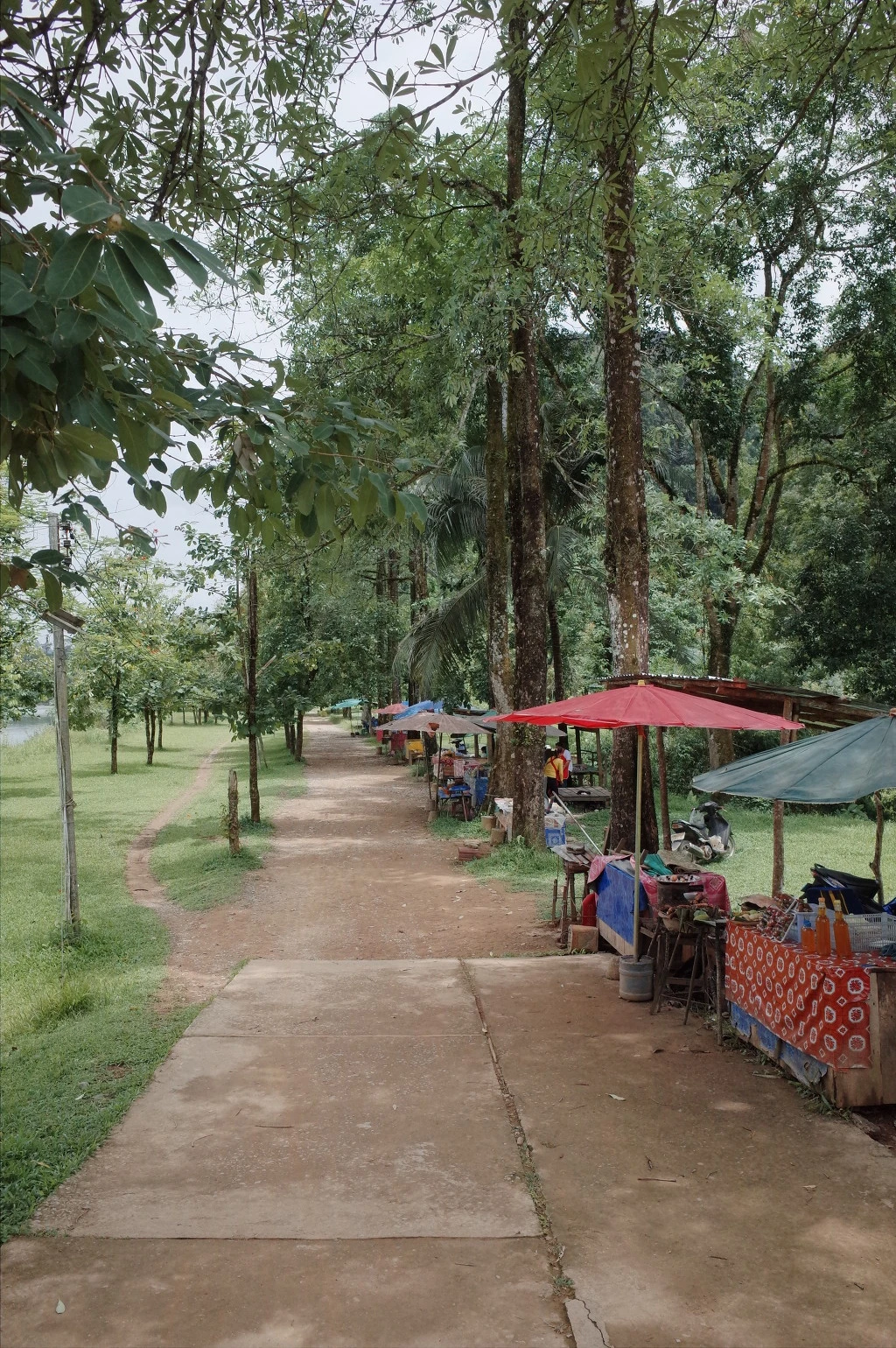 264F39395565D4B229D93E