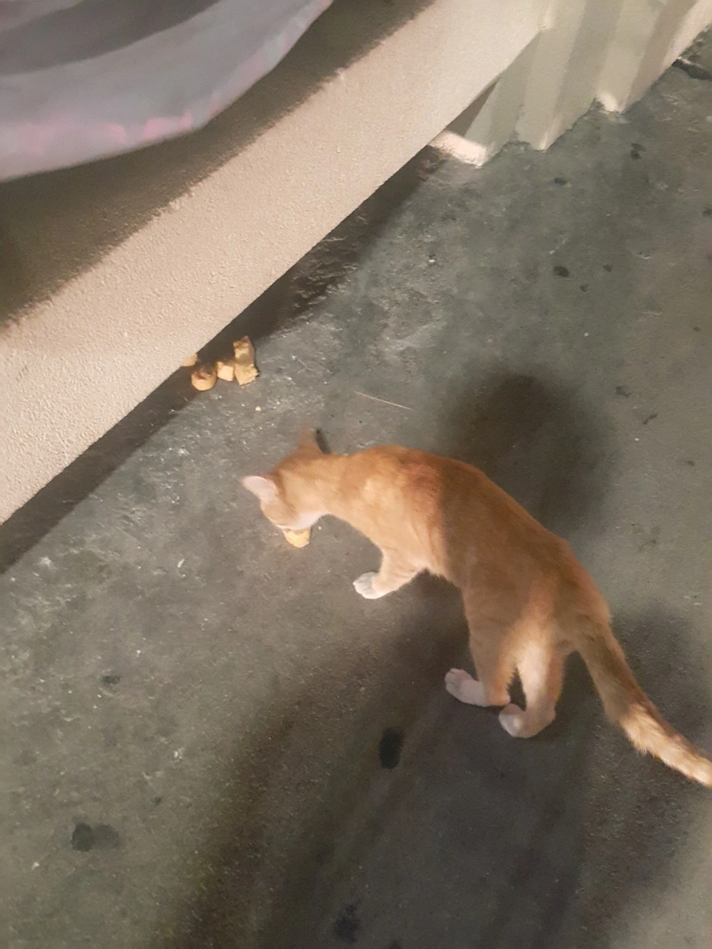 24295F365537BCAF114625