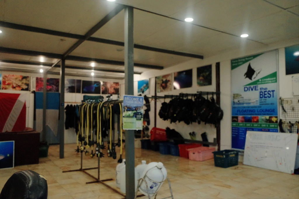 226DF23D555DFD3425F1CC