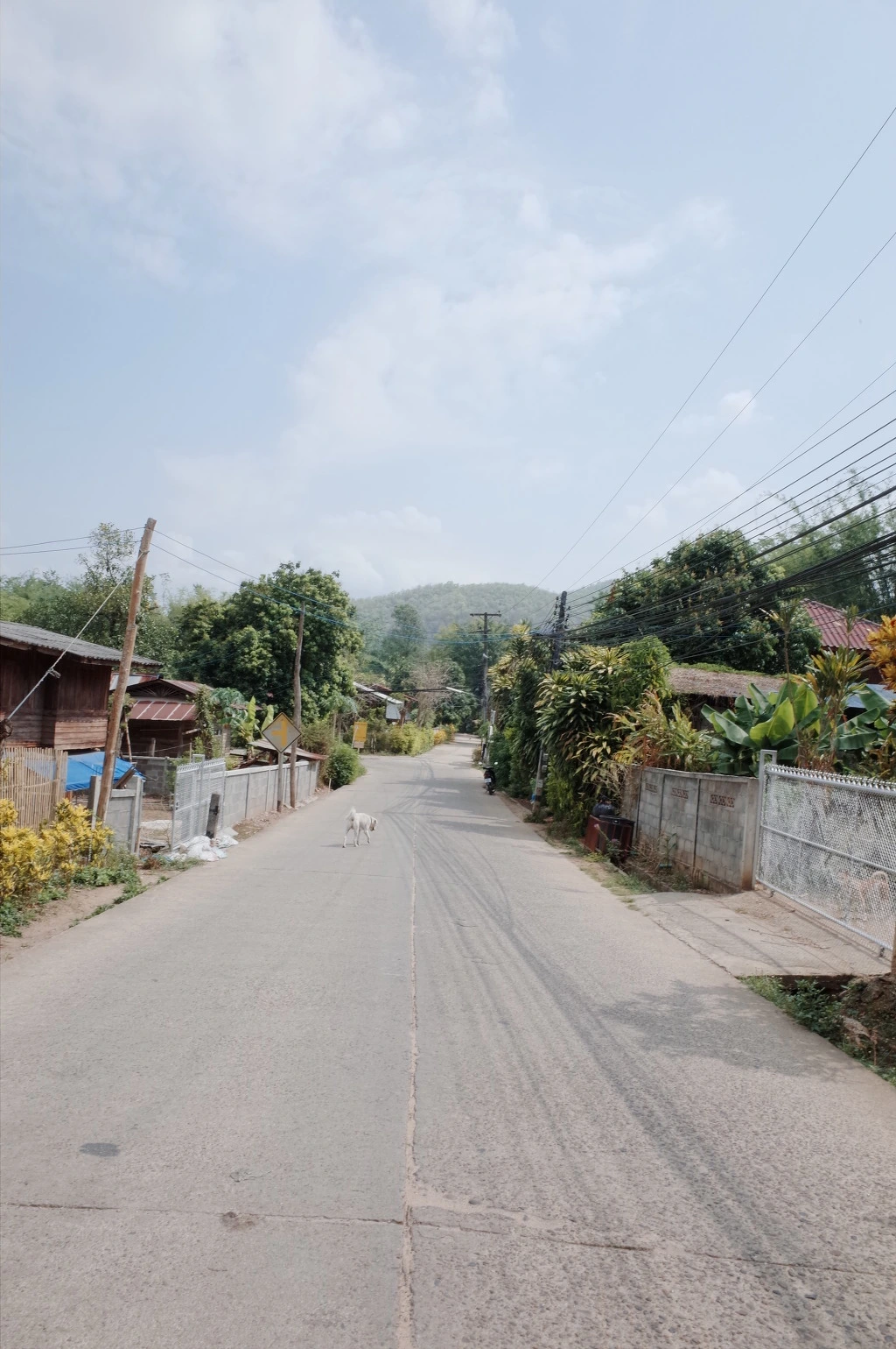 215F903B553CEAAE1B06E1