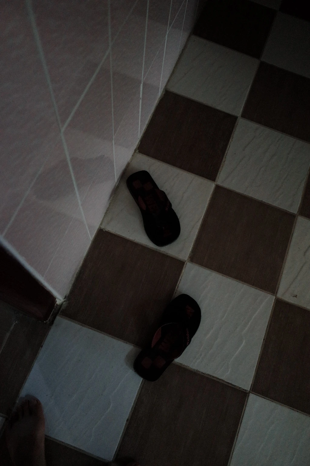 2166A735556BBD8909736F