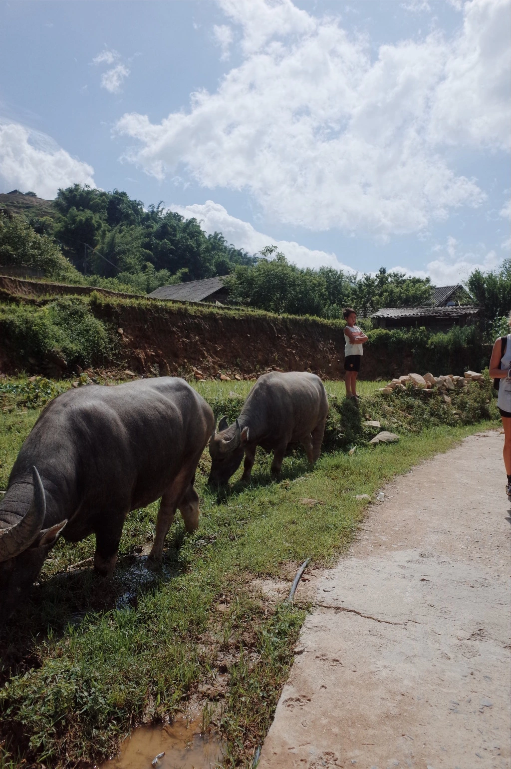 216BE74255746700268AB4