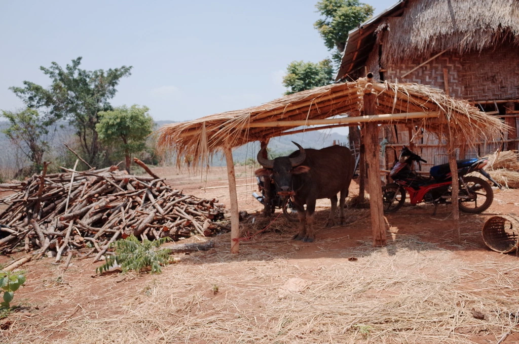 25133143556BD40F09993C