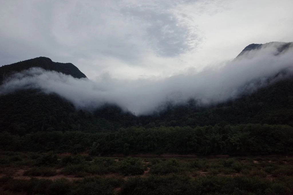 262F1937556C75E83367AD