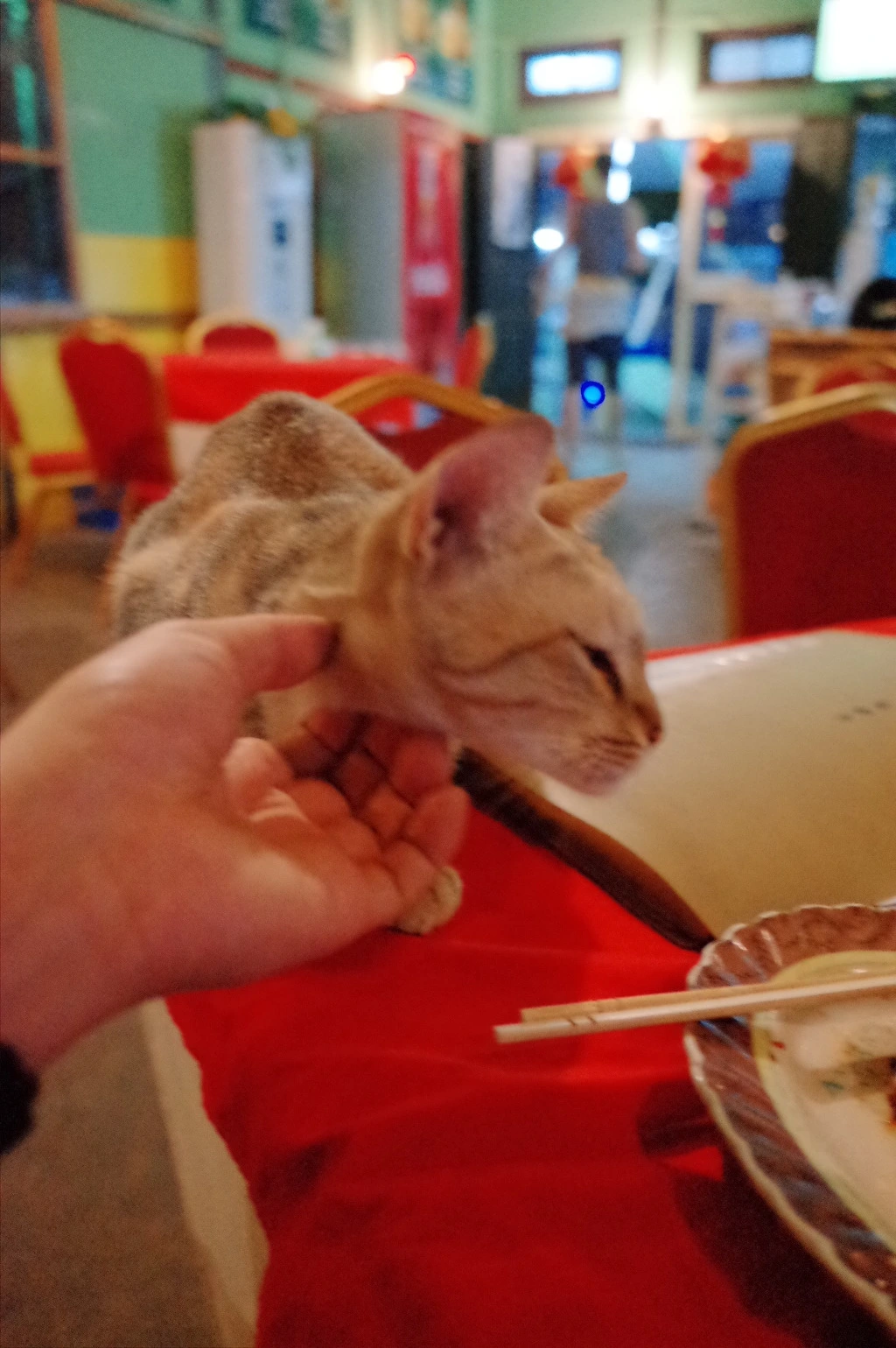 2424323C55665FFF3294F6