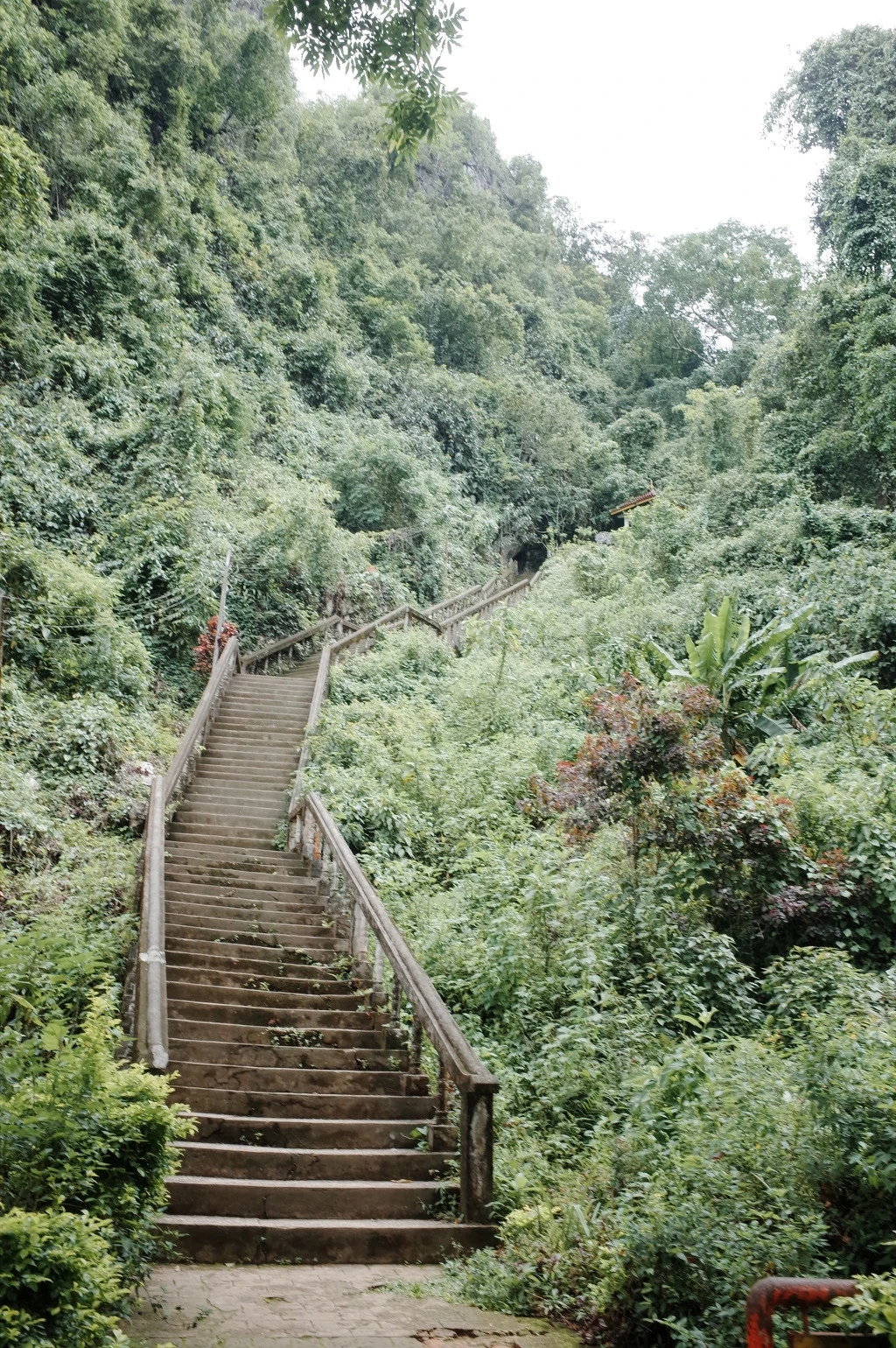 264F873E5565D50C2F96E5