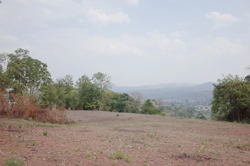 24149944556BD5B423B0B7