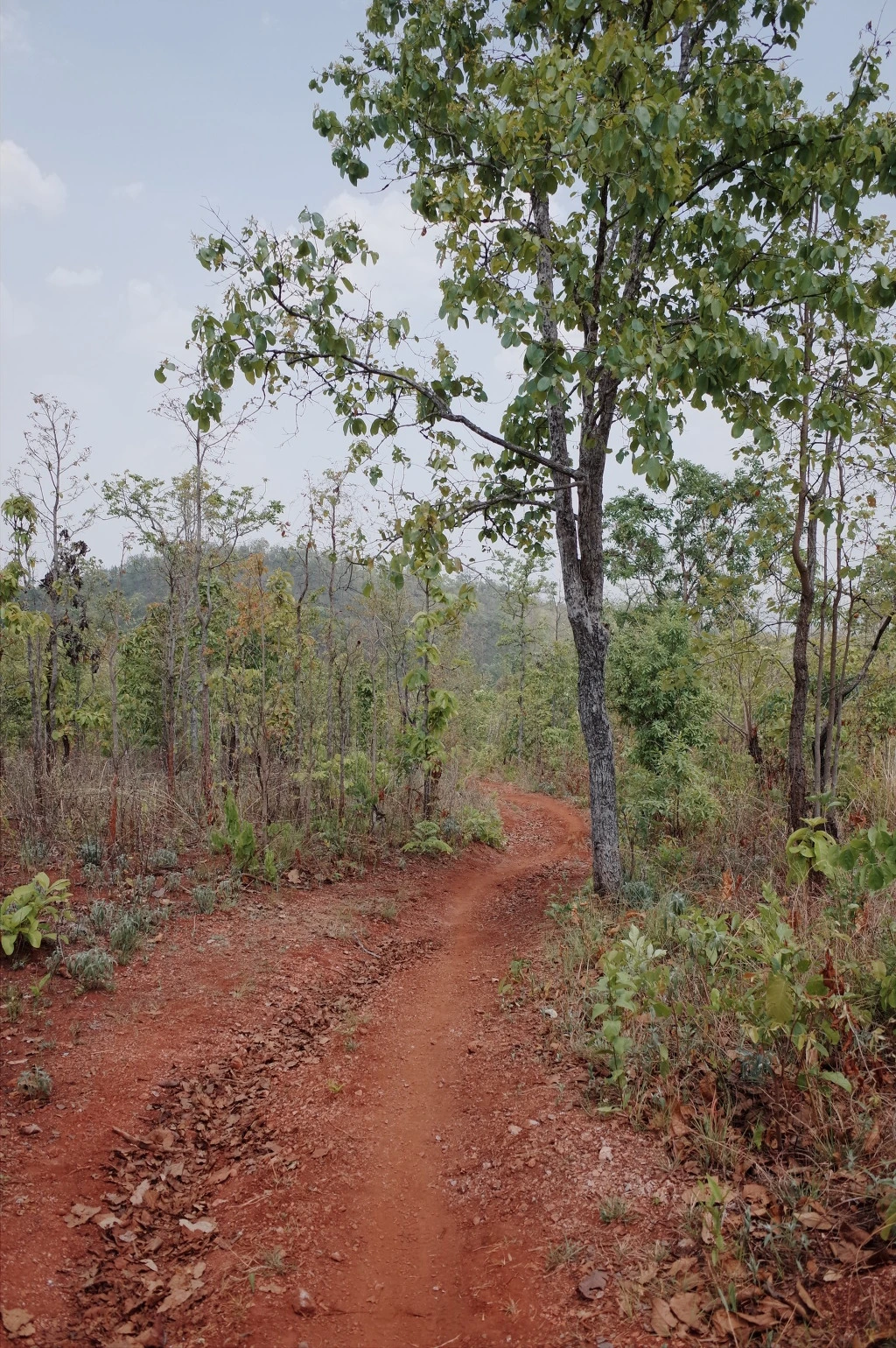 21237D3A556BD4EB3BA890