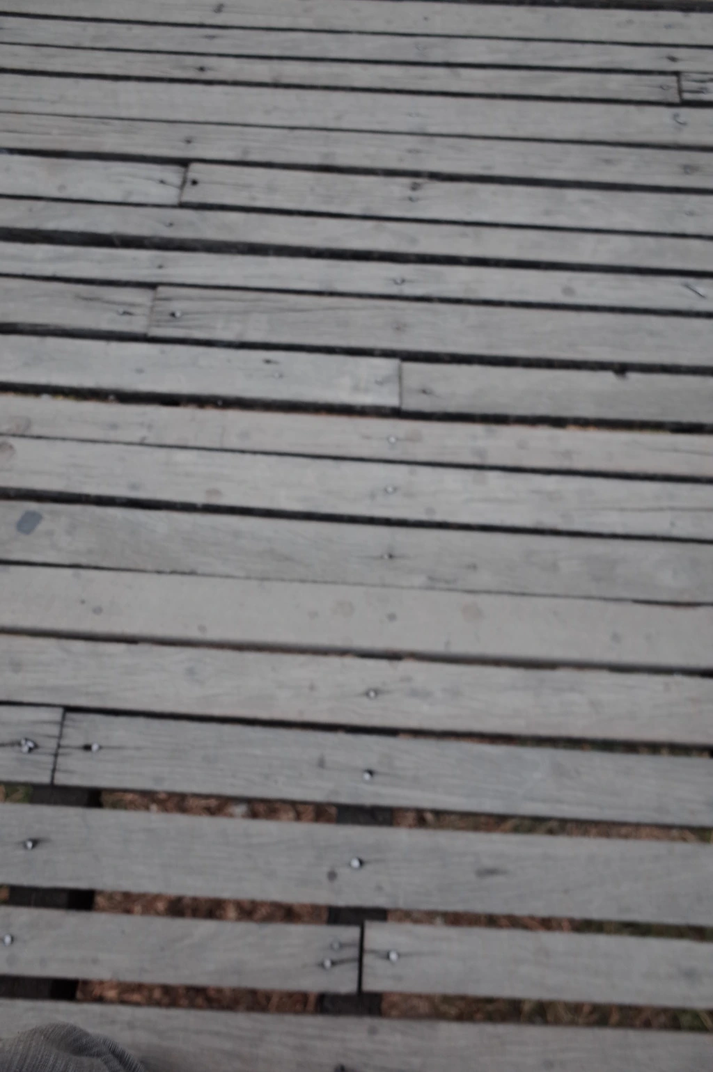 2250C13B5551D9AA04544B