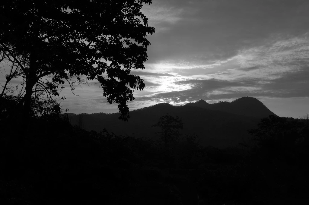 2536ED33553C5D2B248E3D