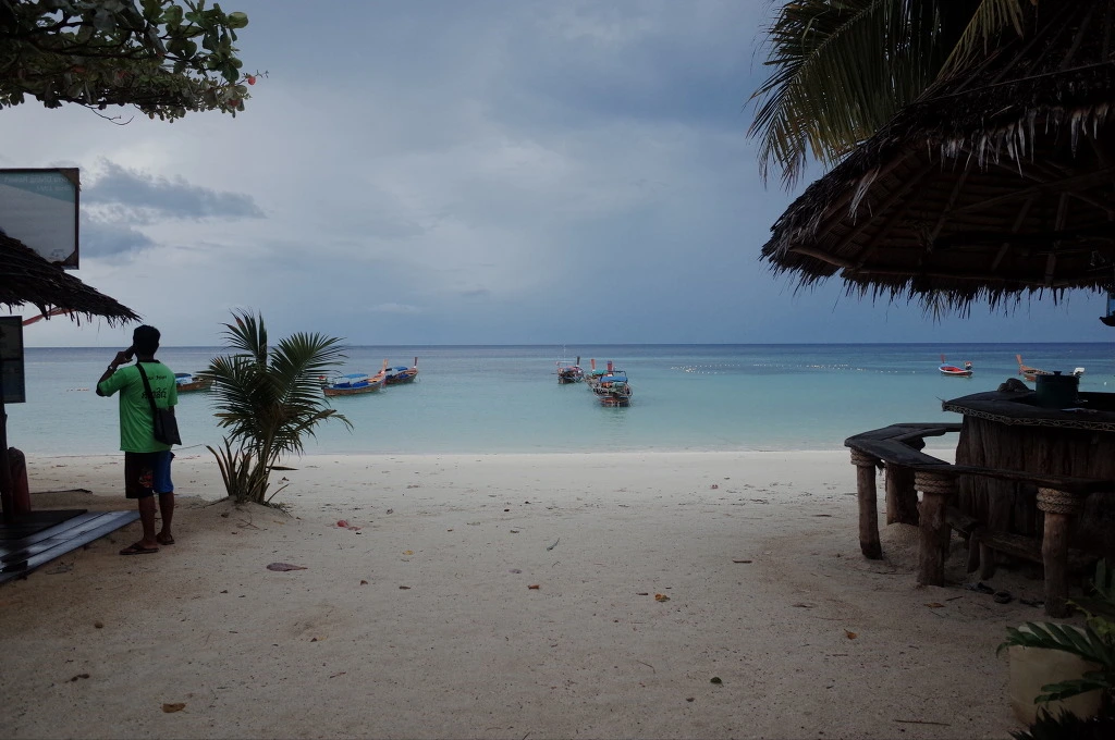 24205A41555DFE5D339C44