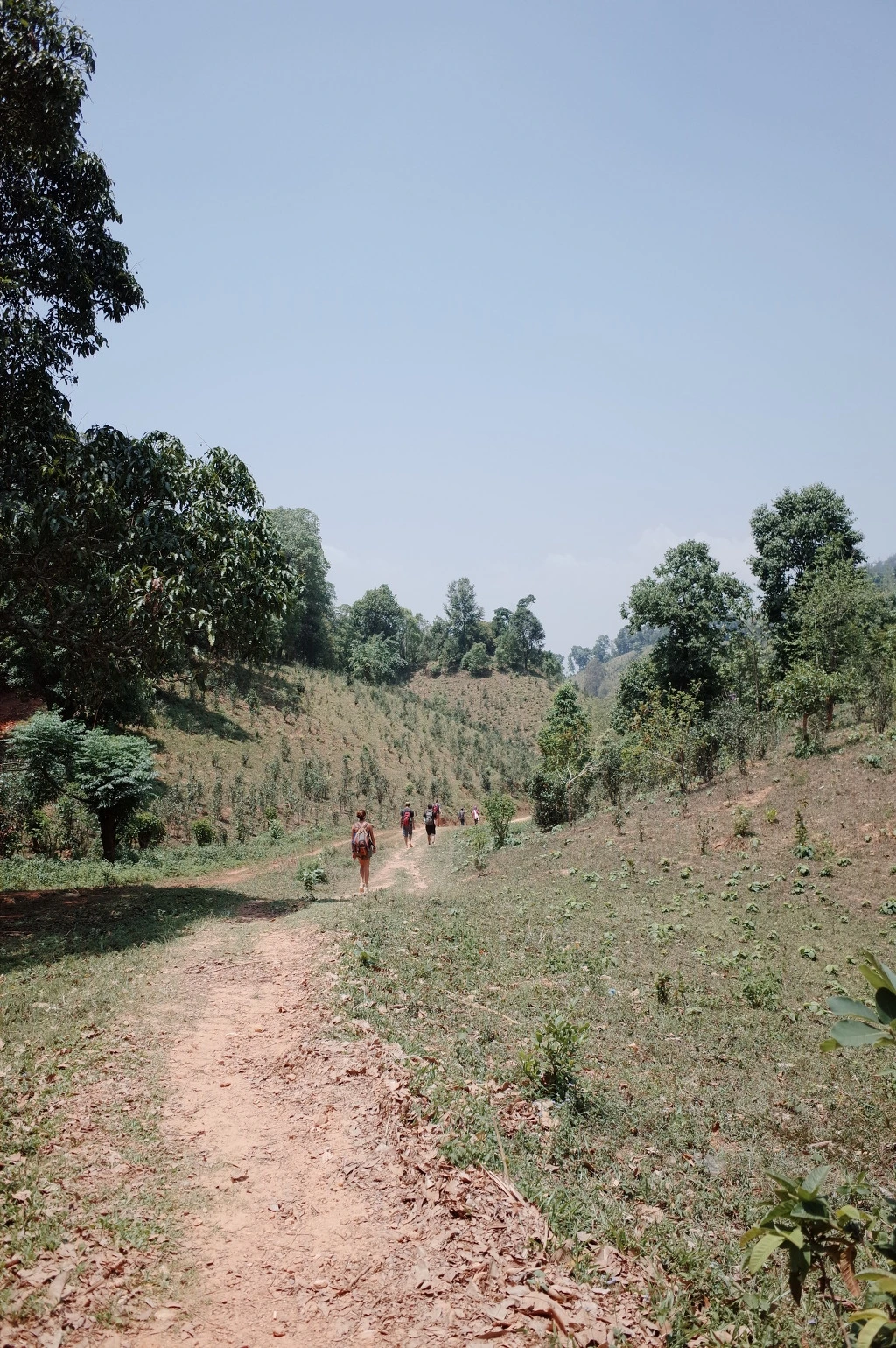 2550F73A556BD3FE24650B