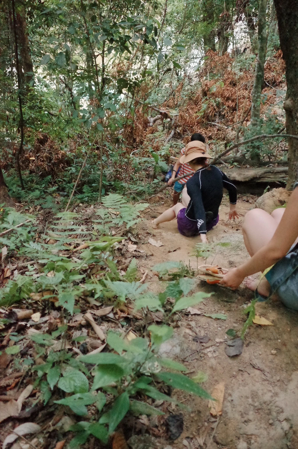 257B7D37556A56A50487F5