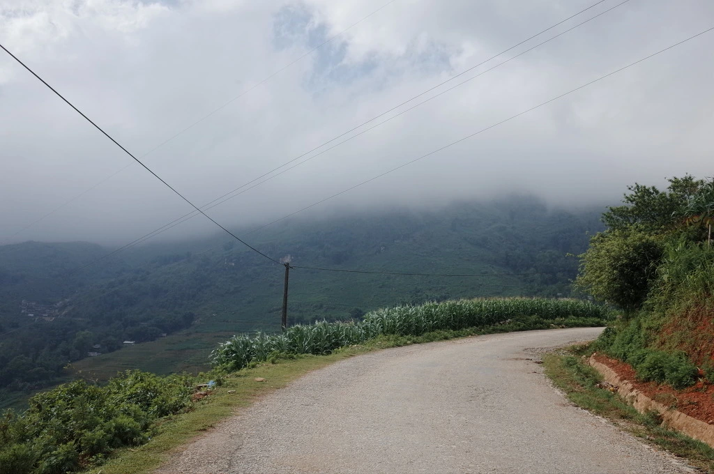 22254C38557467882F3368