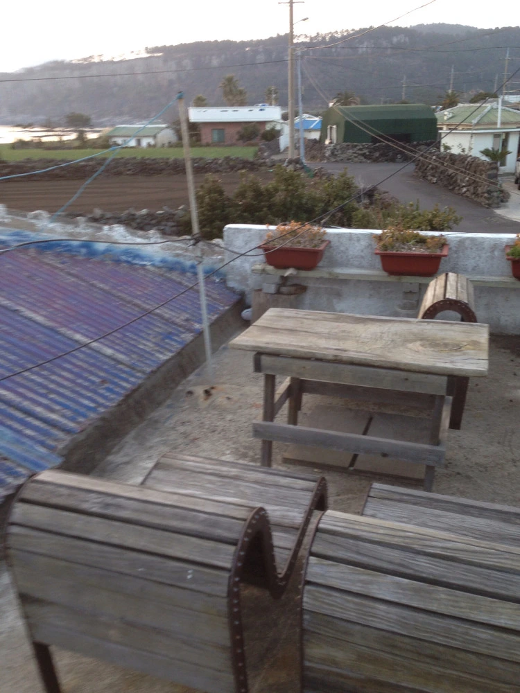 25590650530C3631299F1C