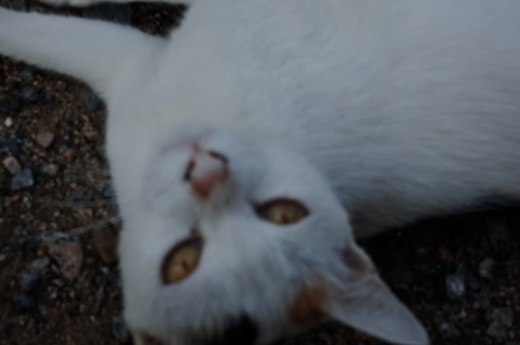 27090041553C5D373125AF