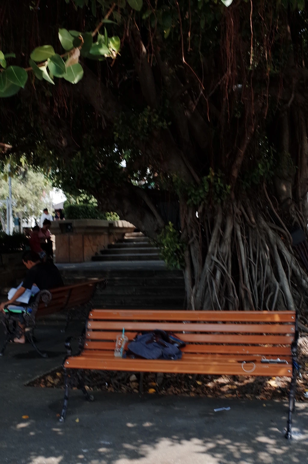 2752783A5537B9A10D2486