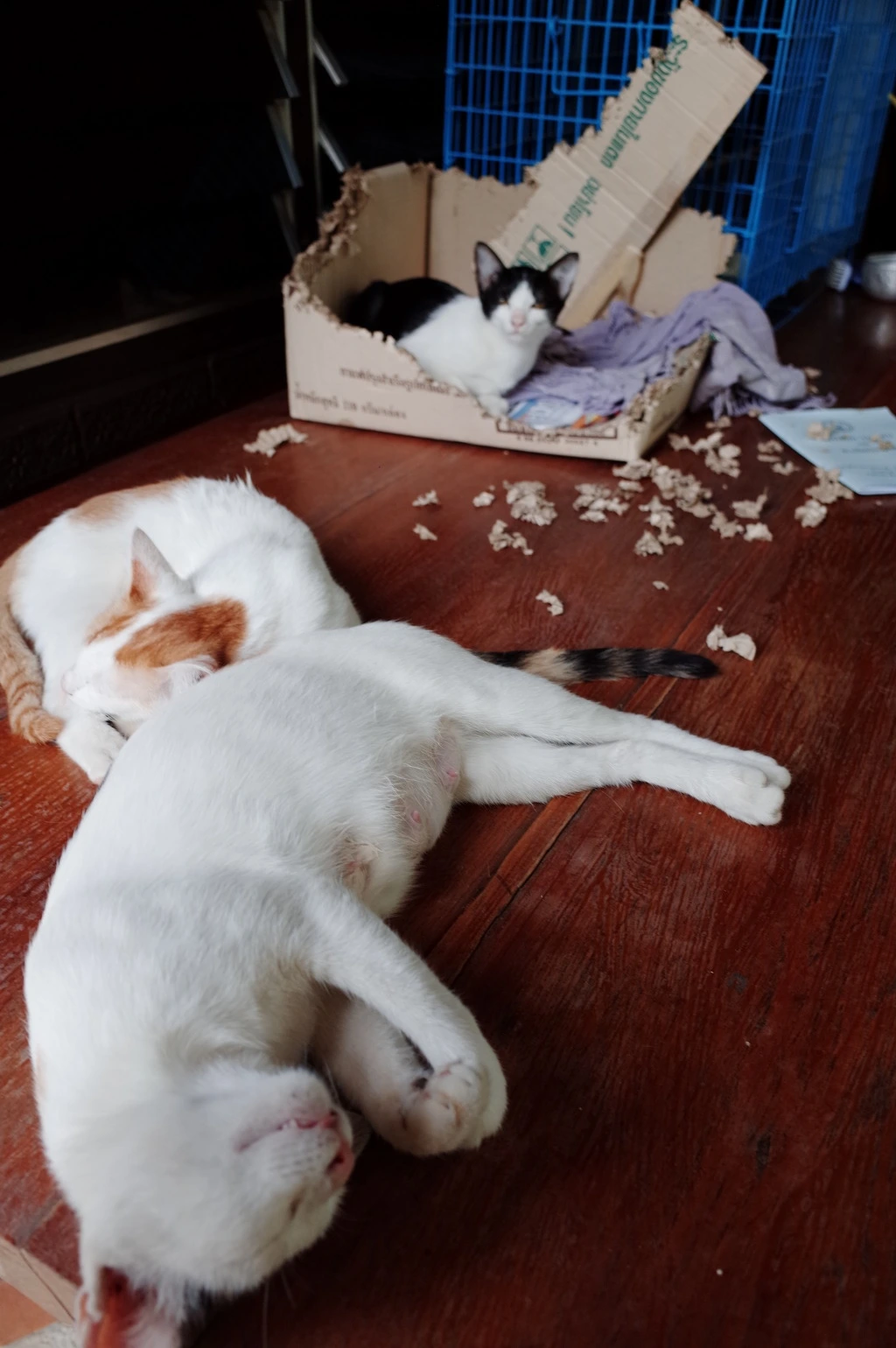 21480644553A57F118AB63