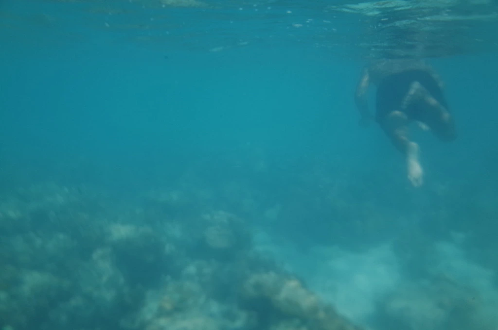 265E1634555EAEDF050A83